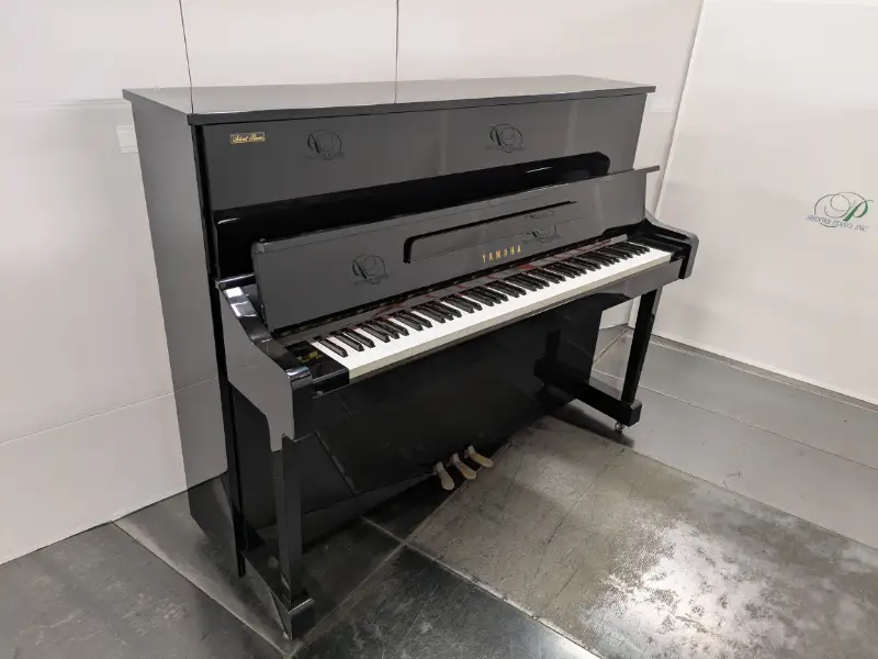 写真：YAMAHA YM10S